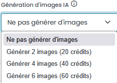 Génération d'une image IA - article assite option.png