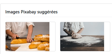 optimisation semantique Images Pixabay suggérées.png